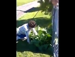 funny vidieoVID-20151023-WA0059