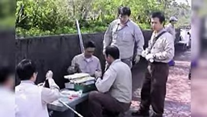 A Crazy Man Enters The Lions Cage in a Zoo -