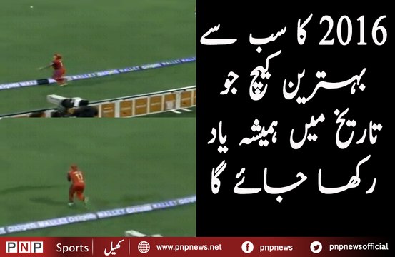 Best Catch of 2016 in MCl 2020 | PNPNews.net