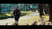 The Skeleton Twins Official Trailer HD | Trailers | FandangoMovies