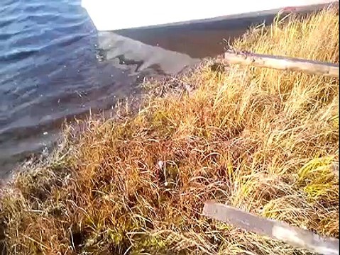 На что способны снегоходы