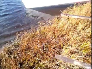 На что способны снегоходы