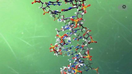 Запутанная история ДНК