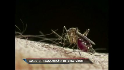 EUA confirmam primeiro caso de zika vírus transmitido por relação sexual