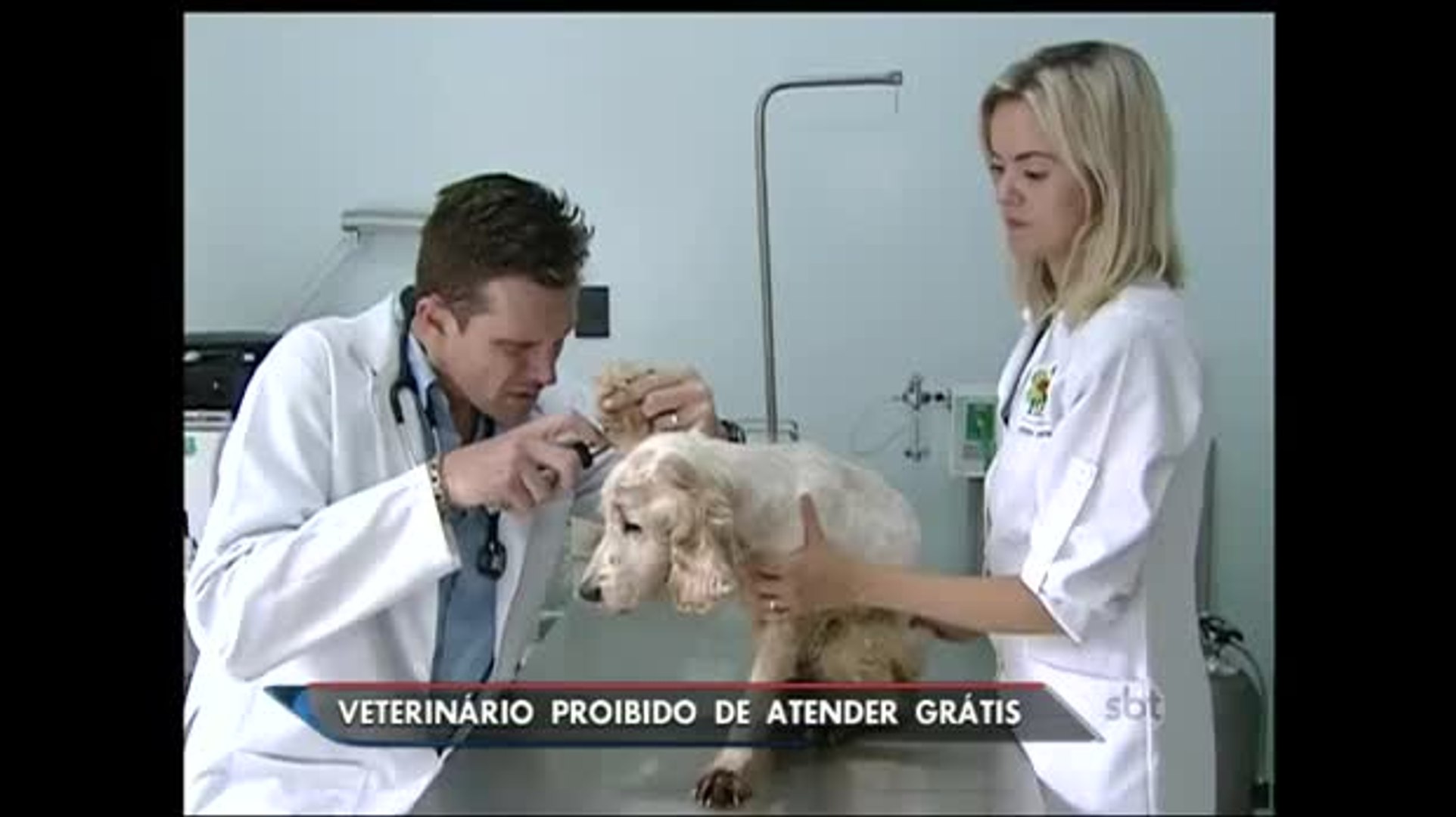 Veterinário é proibido de oferecer consultas grátis no interior de São Paulo