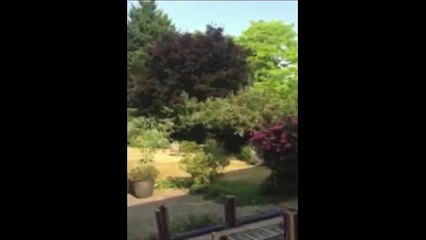 Weak Ceiling Makes For A Great Surprise Entrance