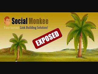 Social Monkee Review | A Honest Review From Someone Who Uses It
