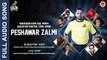PSL PESHAWAR ZALMI New Song Gul Panra. Hamayoon Khan ..Zeek Afridi .. Bakhtiyaar Khattak