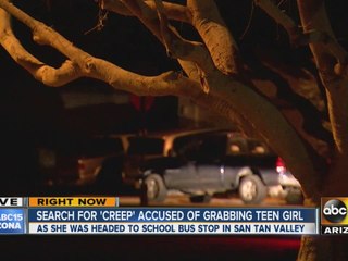 Search on for creep accused of grabbing teen girl
