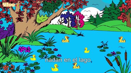 Todos mis patitos Aprender español con canciones infantiles Yleekids