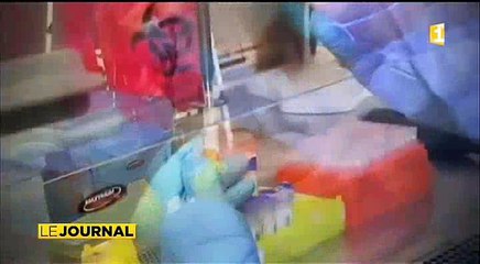 Le zika sexuellement transmissible