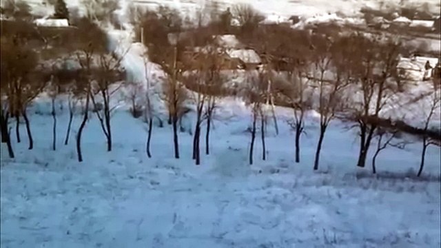 Зимние забавы Winter fun