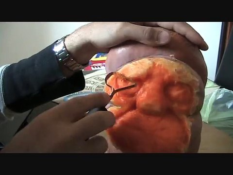 FRUIT CARVING_ pumpkin halloween_ Intaglio zucca_ Scultura. เรียนรู้ที่จะ แกะสลัก ฟักทอง_ 学习雕刻南瓜