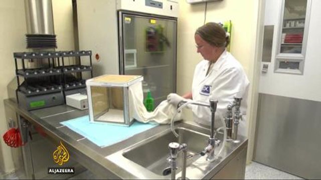 US Florida governor declares emergency due to Zika virus