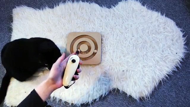 Clickertraining mit Katzen: Erste Schritte: Den Clicker einführen + Outtakes