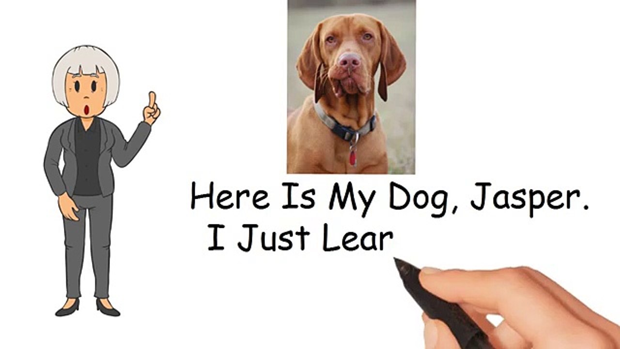 DELICIOUS DOG DIET | A TASTY DOG DIET