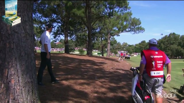 Top 5 Worst Golf Shots 2015 Emirates Australian Open