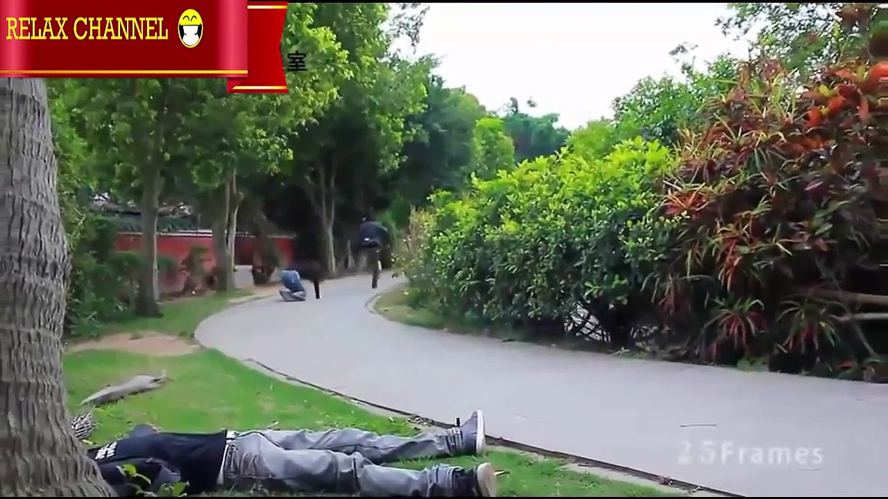 Funny videos compilation June 2015 - Relax Videos HD -- FULL