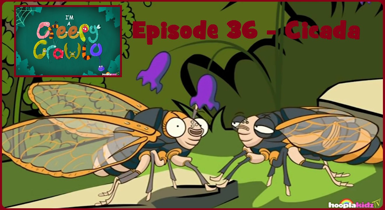 I'm a Creepy Crawly - Episode 36 - Cicada