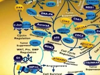 Cancer the Forbidden Cures Full Documentary