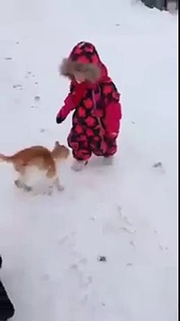 Very Funny Videos 2016 HD 57