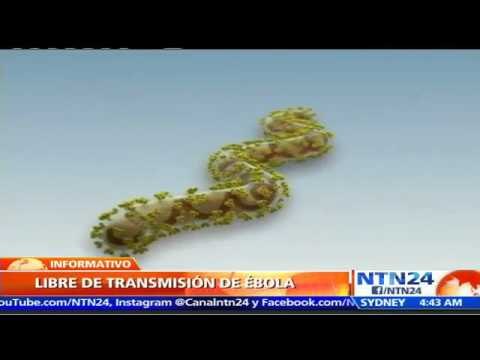 OMS declara a Sierra Leona libre del virus del Ébola