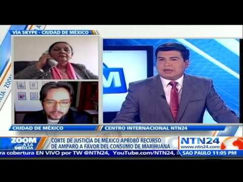 México abre la puerta a la legalización de la marihuana con fines lúdicos