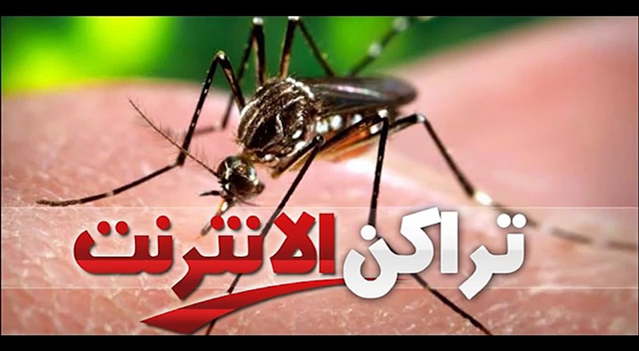 فيروس زيكا ينتشر في العالم بصفة رهيبة و تونس بعيدة عن الخطر