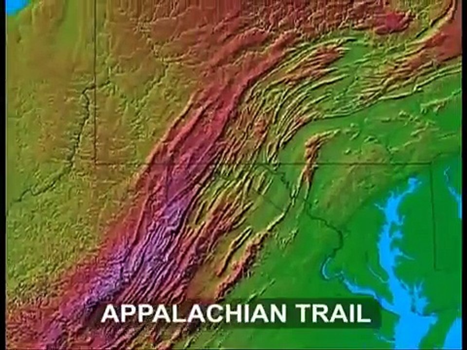 Biomes - Temperate Forest - Part 1 Full animated cartoon movie hindi dubbed movies cartoon