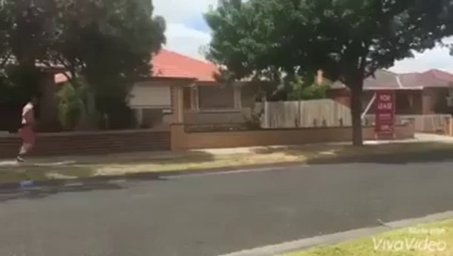 смотреть всем