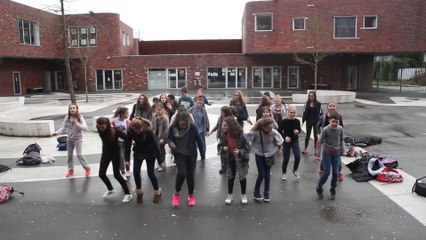 Flashmob du Collège LEVI STRAUSS