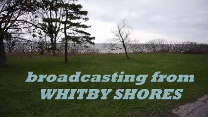 WHITBY SHORES