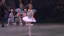 Svetlana Zakharova - Dulcynea's variation