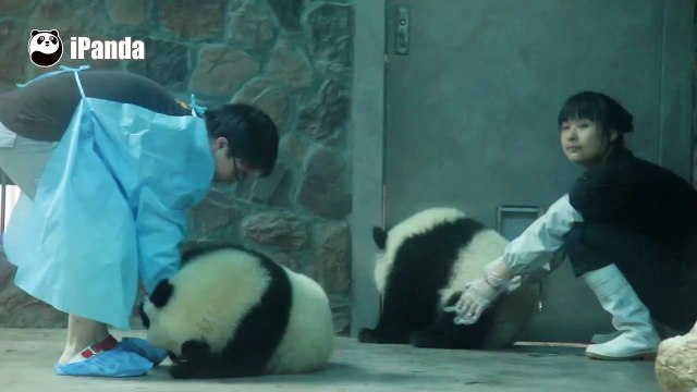 Big Hands Holding Little Hands, Strode Forward