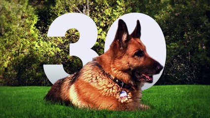 Sommaire émission 30 Millions d&#39;Amis du 03-02-2016