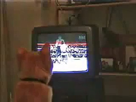 Кот Смотрит Бокс) Ржака)) (Cat Watching Boxing).