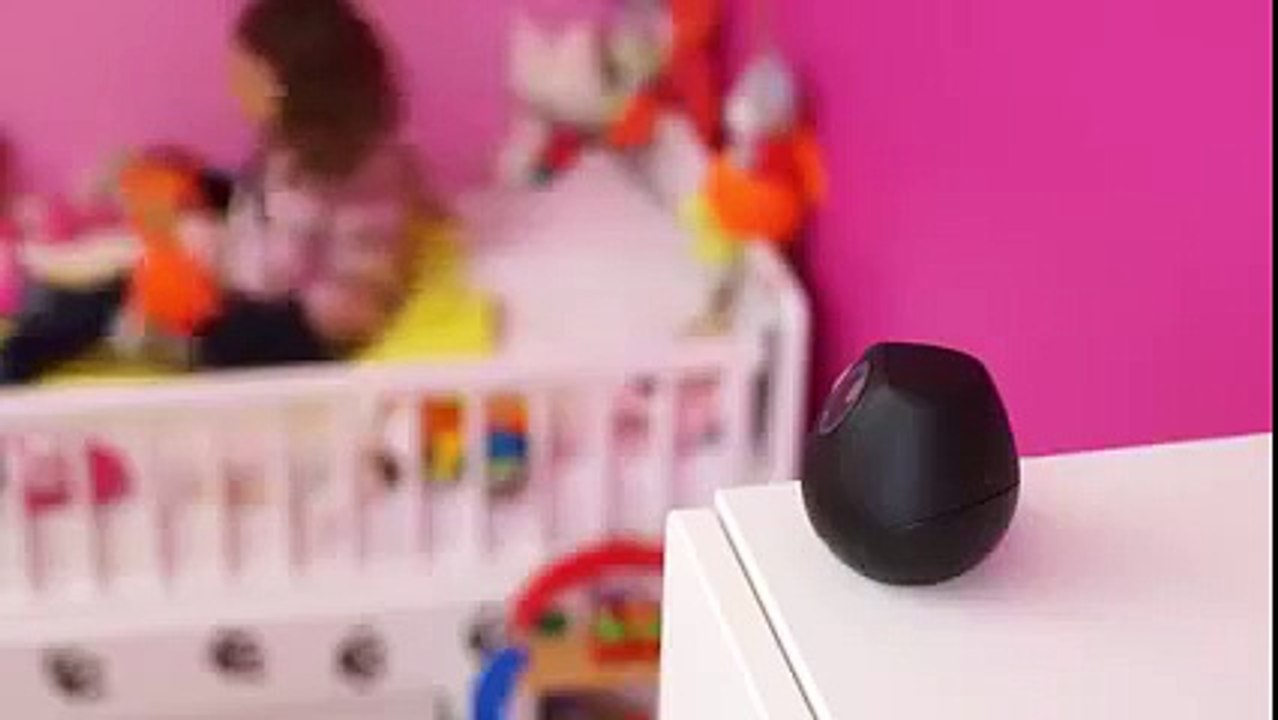So cute! Can I have it? (Funny Videos 720p)