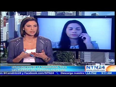 Corte Suprema de México debate la legalización del uso recreativo de la marihuana