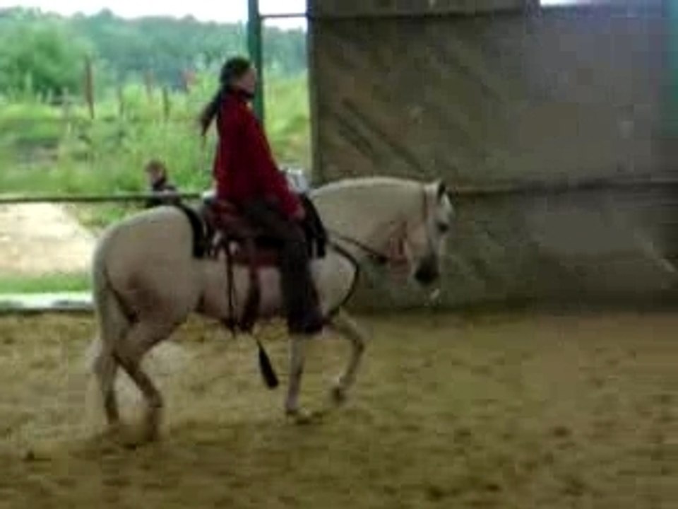 DSCN0453