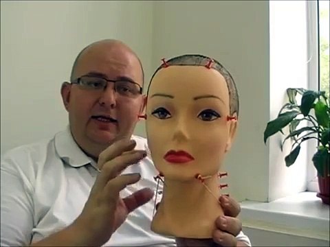 Лев и Джессика подбор причёски для любого типа