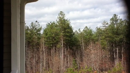 Z57 presents Around the Corner