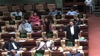 Syeda Shehla Raza Deputy  Speaker Sindh Assembly Mera Photo Hai Jo Karna Hai Kar Lo