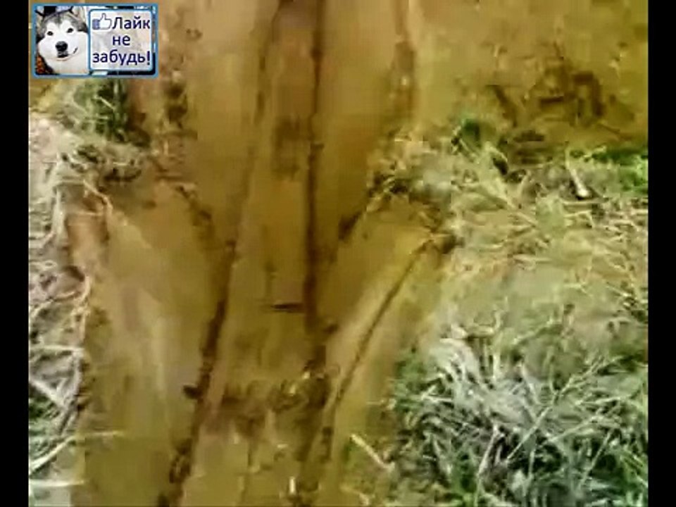 ТЕХНИКА - БЕЗДОРОЖЬЕ Вездеходы ПРИКОЛЫ(1)