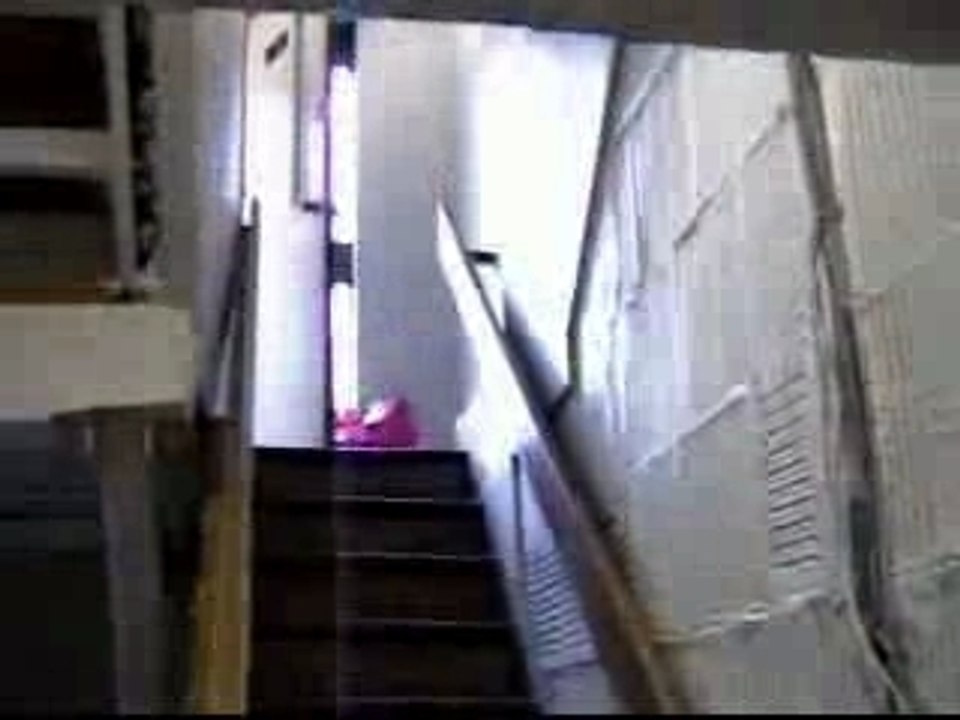 Mindless Self Indulgence - Faggot