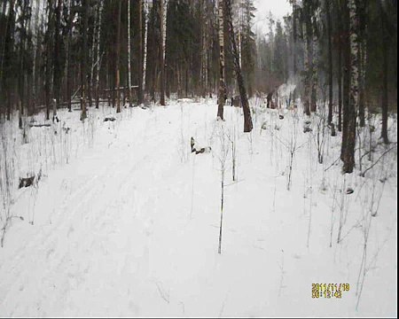 самодельные квадроциклы