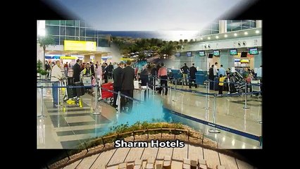 sharm el shiekh airport transfer