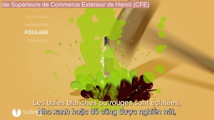 [Vietsub] Comment fait-on le vin? - toutlevin.com