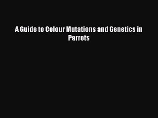 Tải video: A Guide to Colour Mutations and Genetics in Parrots  Free Books