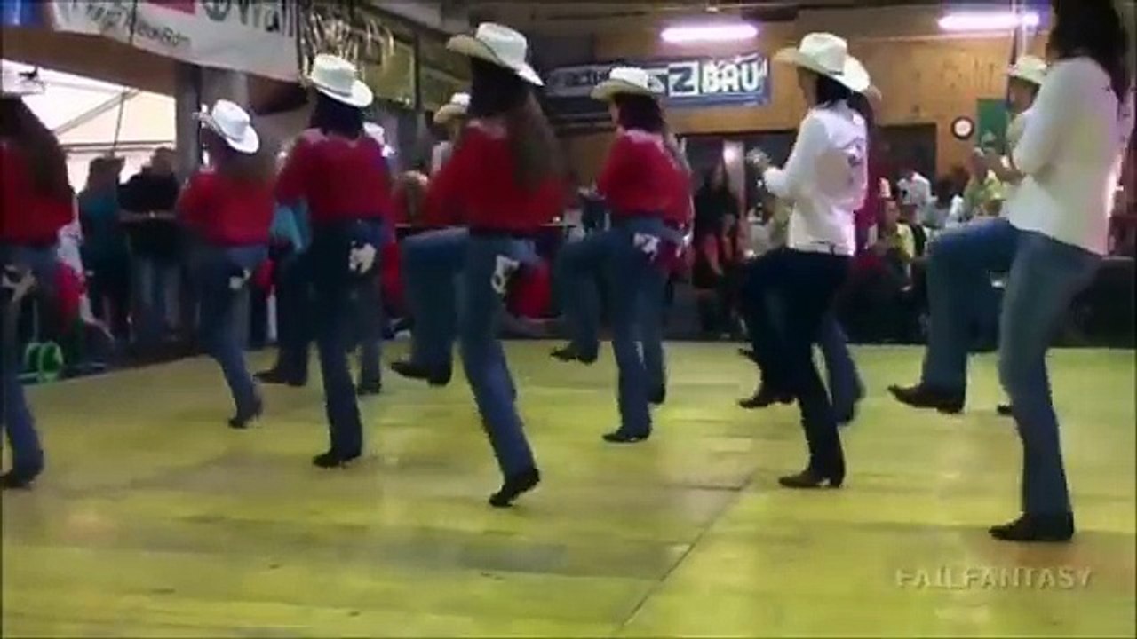 Best Human & Animals Dance Gone Funny (FULL HD)