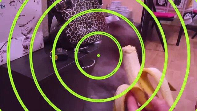 Котики любят бананы Cats like bananas